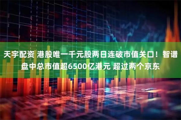 天宇配资 港股唯一千元股两日连破市值关口！智谱盘中总市值超6500亿港元 超过两个京东